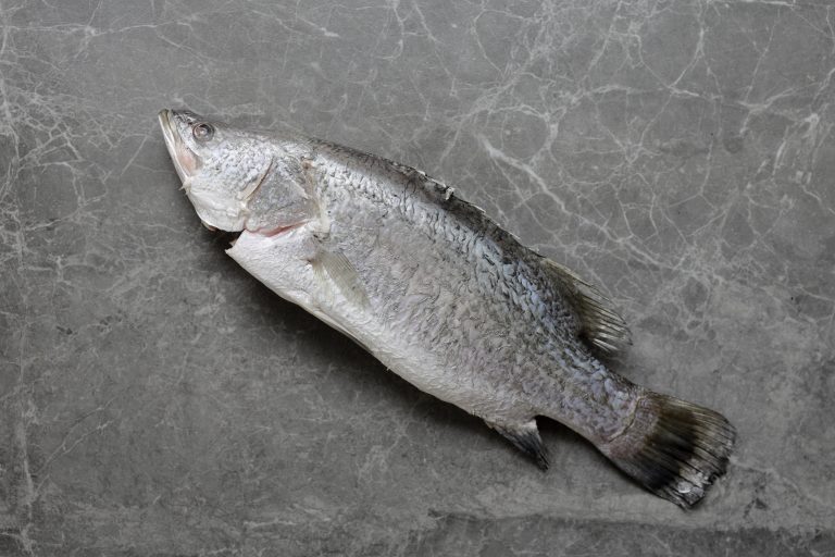 If You Lean In, You Learn