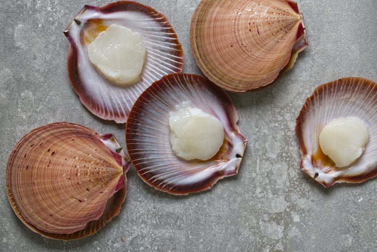 GEOFF’s Grilled Abrolhos Scallops with Preserved Lemon Butter…