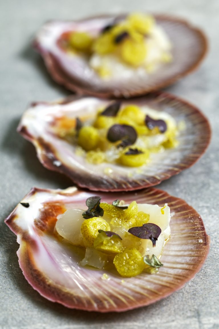 hree Abrolhos Island scallop shells arranged diagonally on a grey stone surface, each holding thinly sliced raw scallop topped with rounds of desert lime, green finger lime pearls and dark purple Mystique micro herbs.