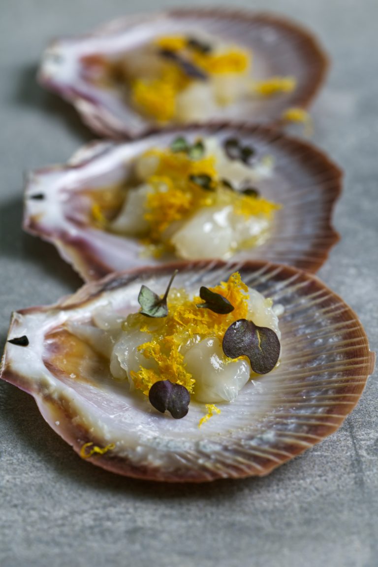 hree Abrolhos Island scallop shells arranged diagonally on a grey stone surface, each holding thinly sliced raw scallop dressed with cold-pressed olive oil, scattered with fine navel orange zest and finished with dark purple Mystique micro herbs.
