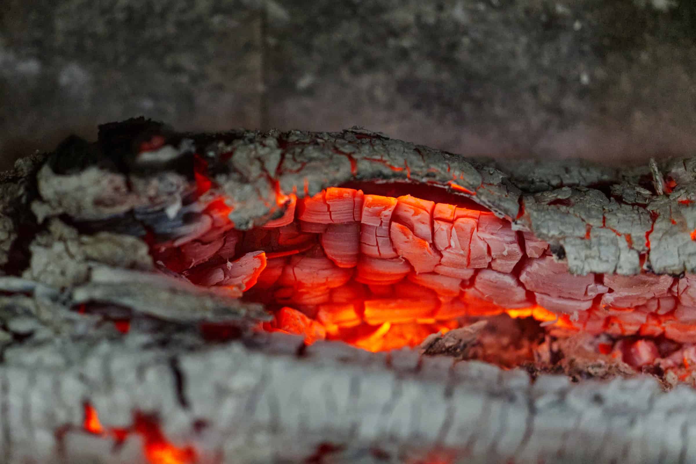 Understanding Heat | What Seafood Has Taught Me About Cooking (Part Two)