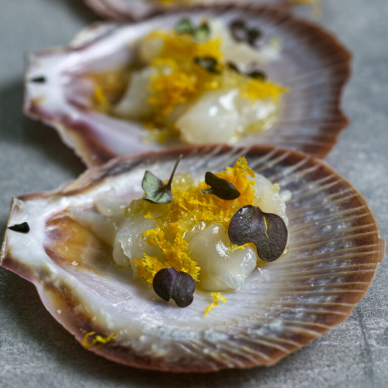 Abrolhos Island scallop shells arranged diagonally on a grey stone surface, each holding thinly sliced raw scallop dressed with cold-pressed olive oil, scattered with fine navel orange zest and finished with dark purple Mystique micro herbs.